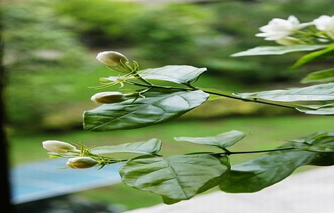 《医生特殊的治疗》中字